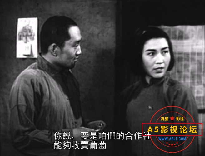 葡萄熟了的时候