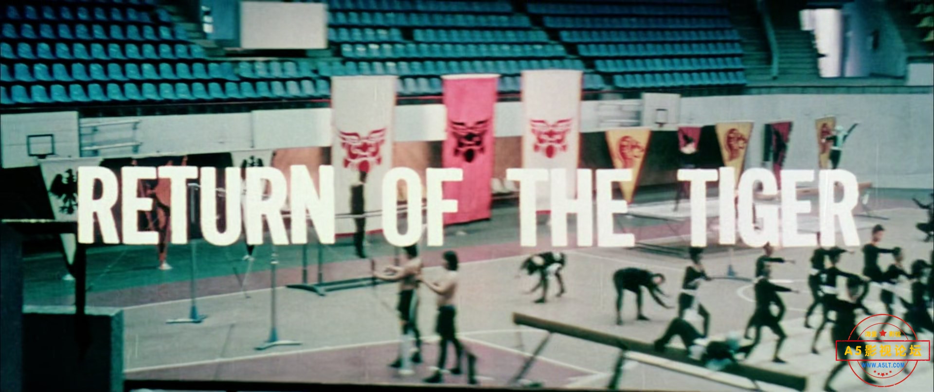 Return.of.the.Tiger.1977.DUBBED.1080p.WEBRip.x265-RARBG.mp4_snapshot_00.00.38.923.jpg