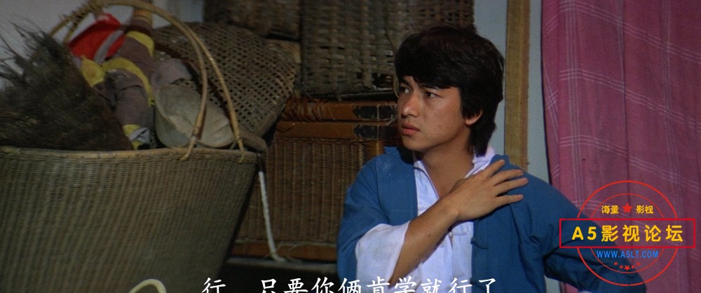 龙腾虎跃