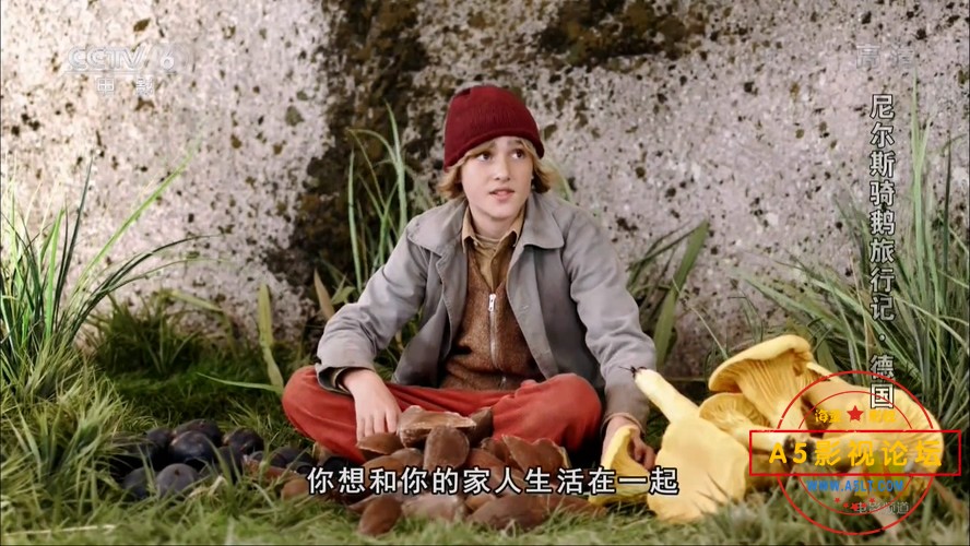 尼尔斯骑鹅旅行记