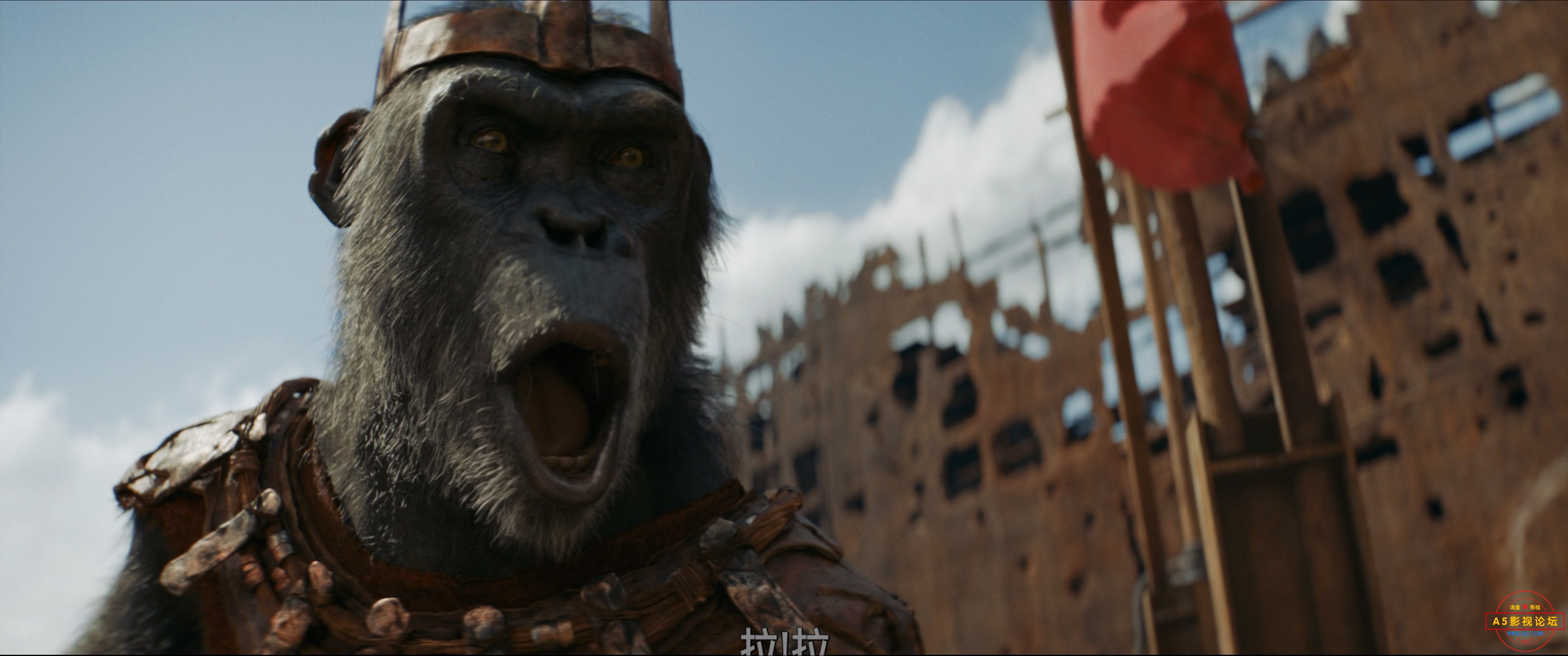 Kingdom.of.the.Planet.of.the.Apes.2024.2160p.iTunes.WEB-DL.DDP.7.1.Atmos.HDR10 ..jpg