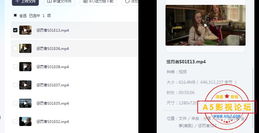 惩罚者