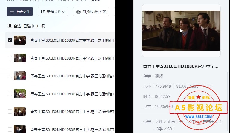 青春王室