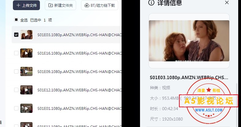 疯狂前女友