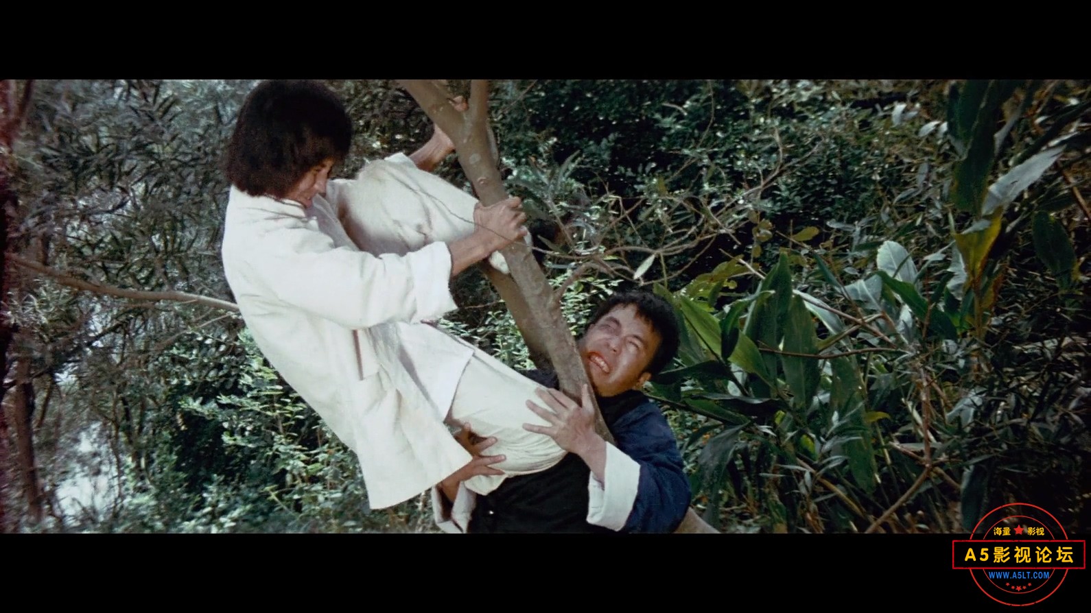 天残地缺The.Crippled.Masters.1980.BluRay.1080p.AAC.x264-DreamHD.mp4_20240802_170.jpg