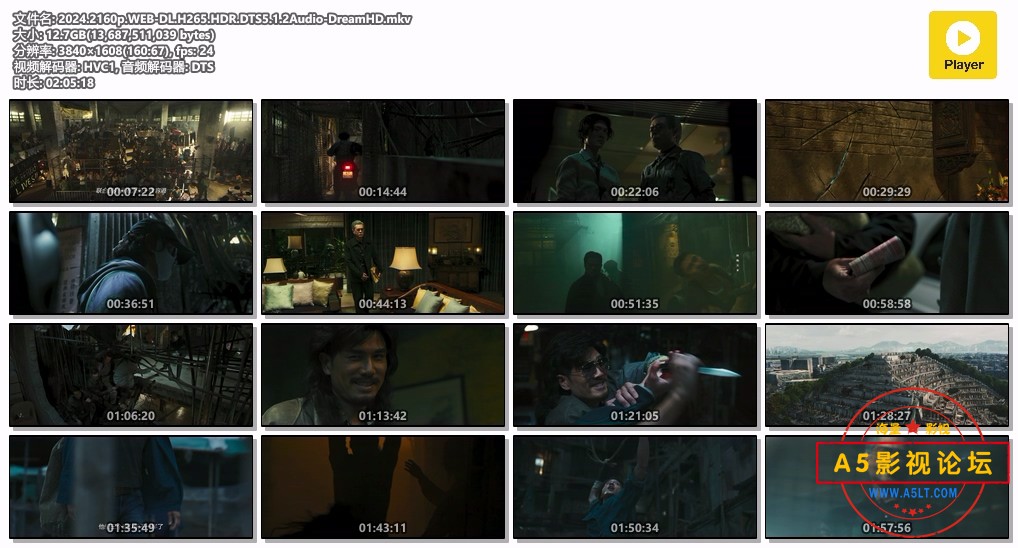 2024.2160p.WEB-DL.H265.HDR.DTS5.1.2Audio-DreamHD.mkv.jpg