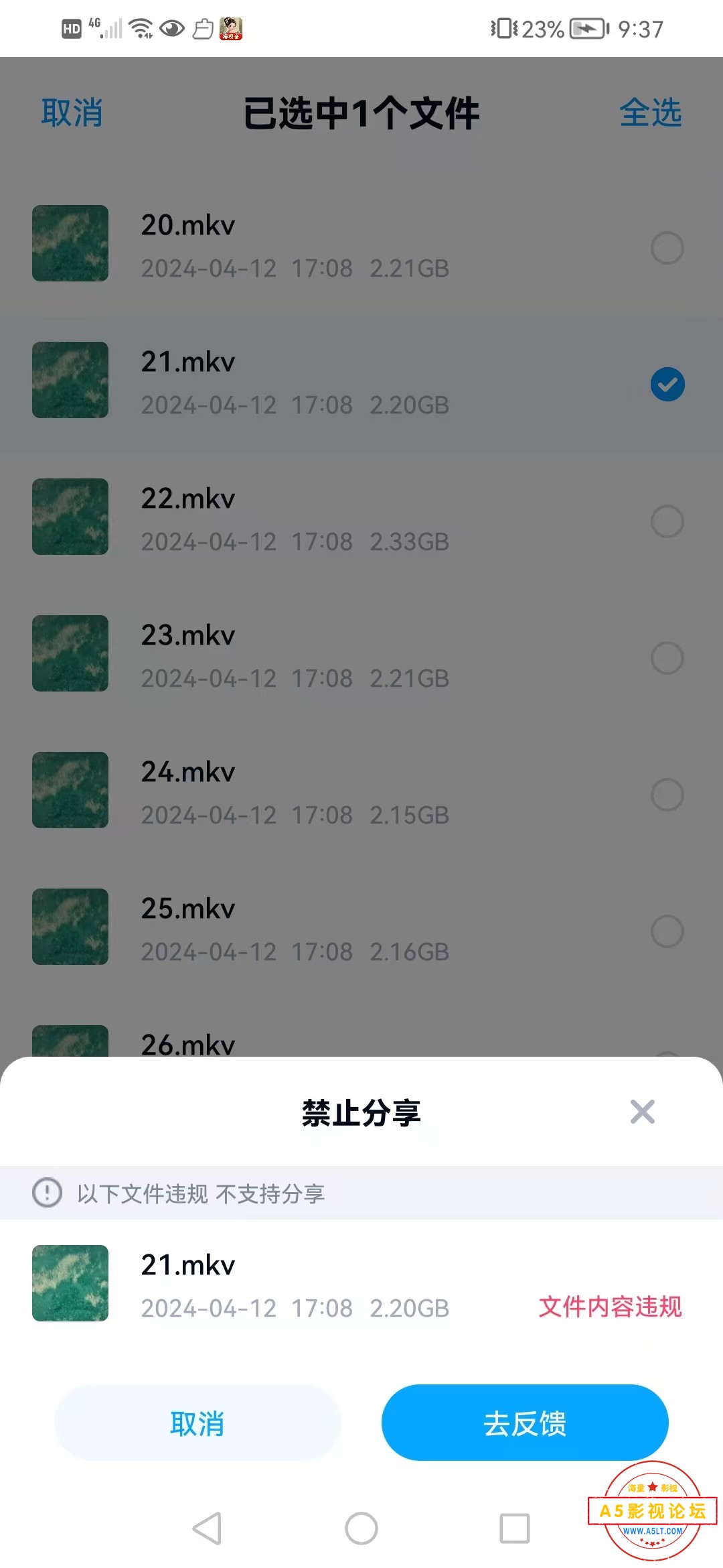mmexport1723599544924.jpg
