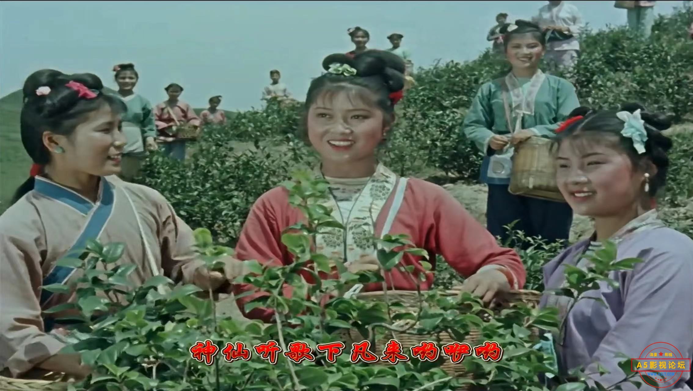 微信圖片_20240814205046.jpg