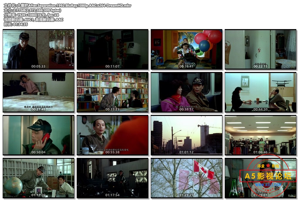 大撒把After.Separation.1992.BluRay.1080p.AAC.x264-DreamHD.mkv.jpg