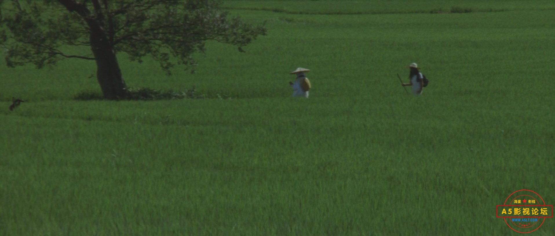 孤独之旅Journey.Into.Solitude.1972.JAPANESE.1080p.BluRay.H264.AAC(日语中字).mkv_.jpg