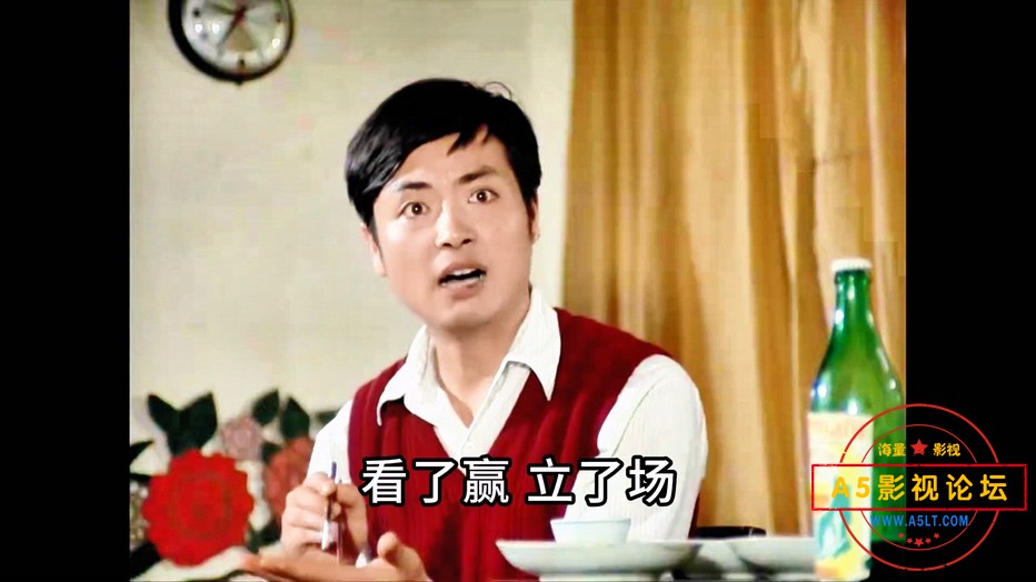 飞来的女婿