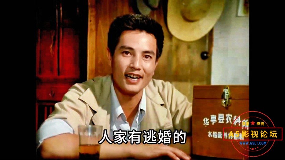 飞来的女婿