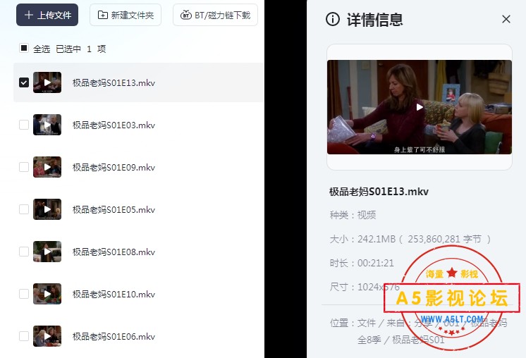 极品老妈