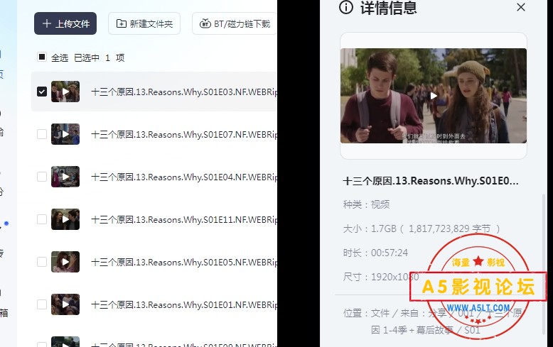 十三个原因