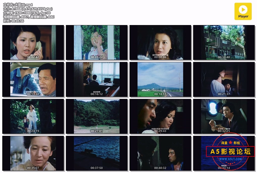 犬笛(6).mp4.jpg