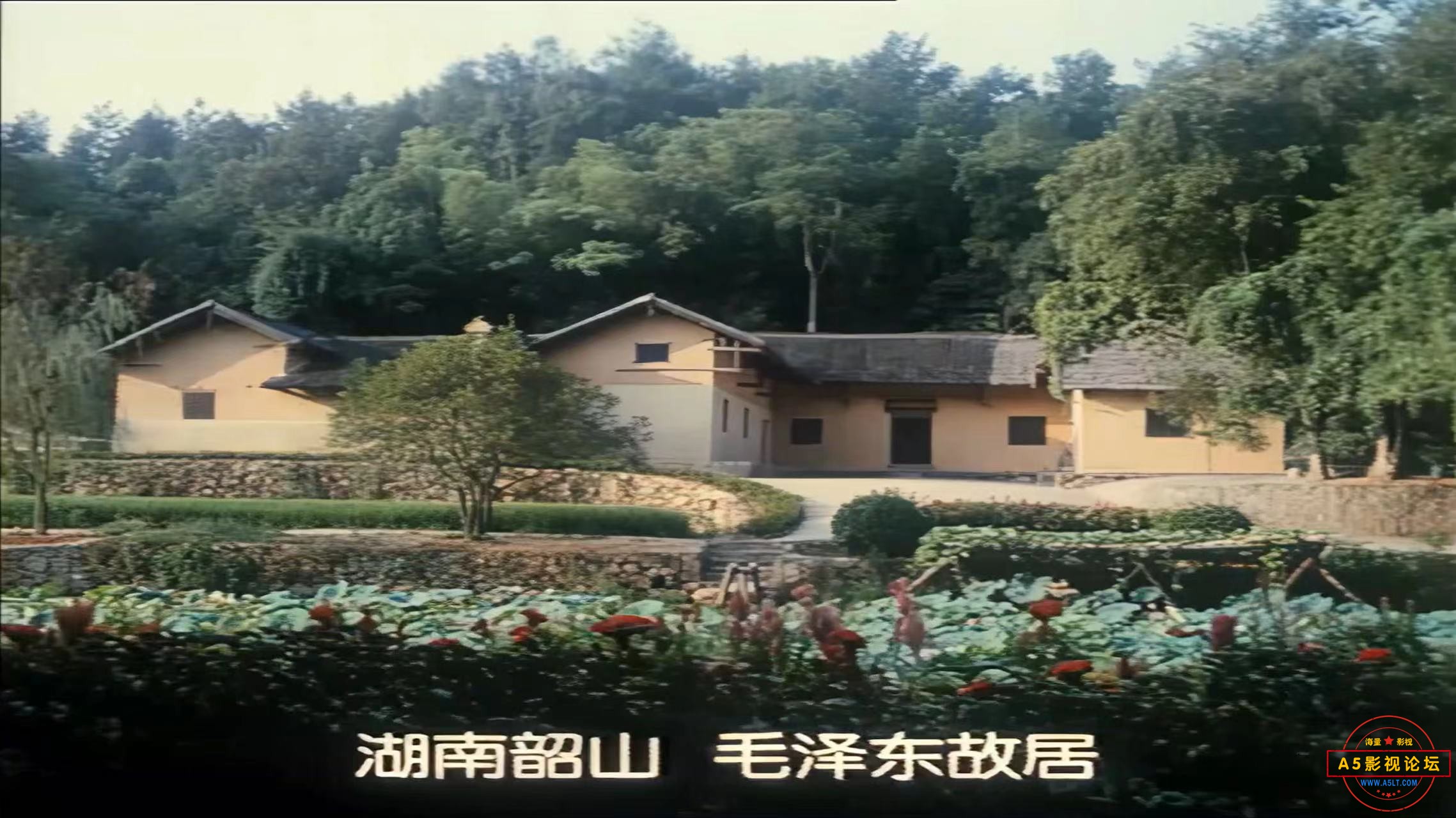 微信圖片_20240909191403.jpg