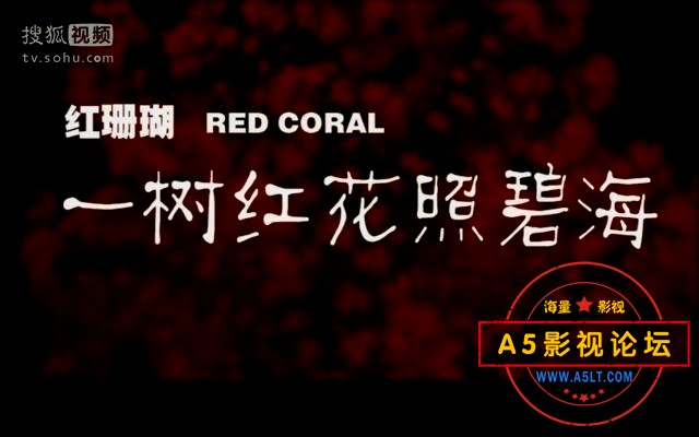 电影传奇：红珊瑚-一树红花照碧海.mkv_20240911_100624.297.jpg