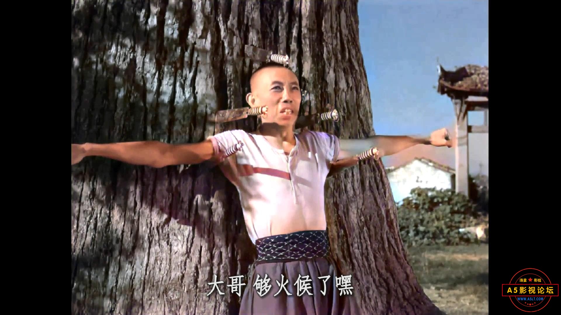 8.JPG