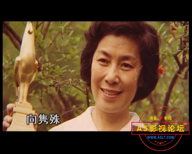 01译制片回眸.EP01.DVDRip.x264-LMG.mkv_20240913_100631.381.jpg