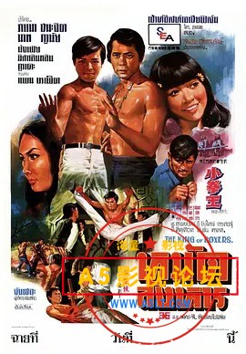小拳王.jpg