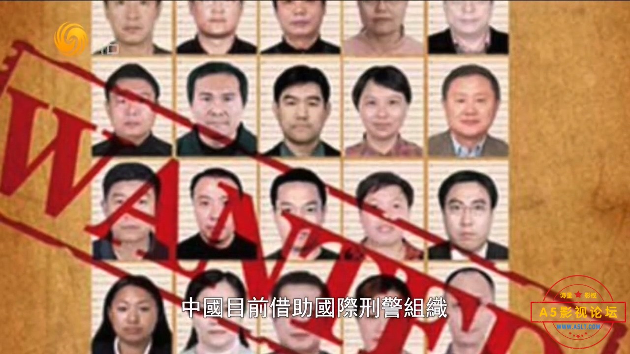 凤凰大视野20150317-猎狐行动——中国海外追逃追赃纪实（二）猎狐东南亚.mkv_20240919.jpg