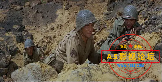 p2567032321.webp.png