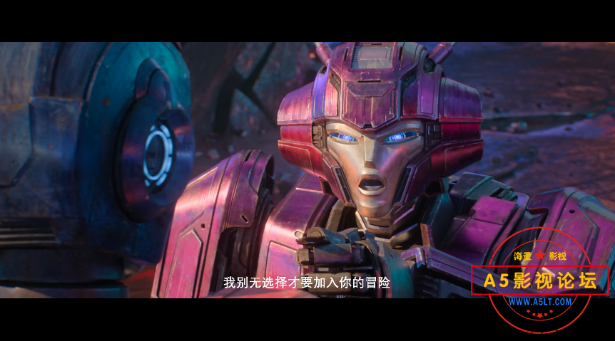 QQ截图20241023171103.png