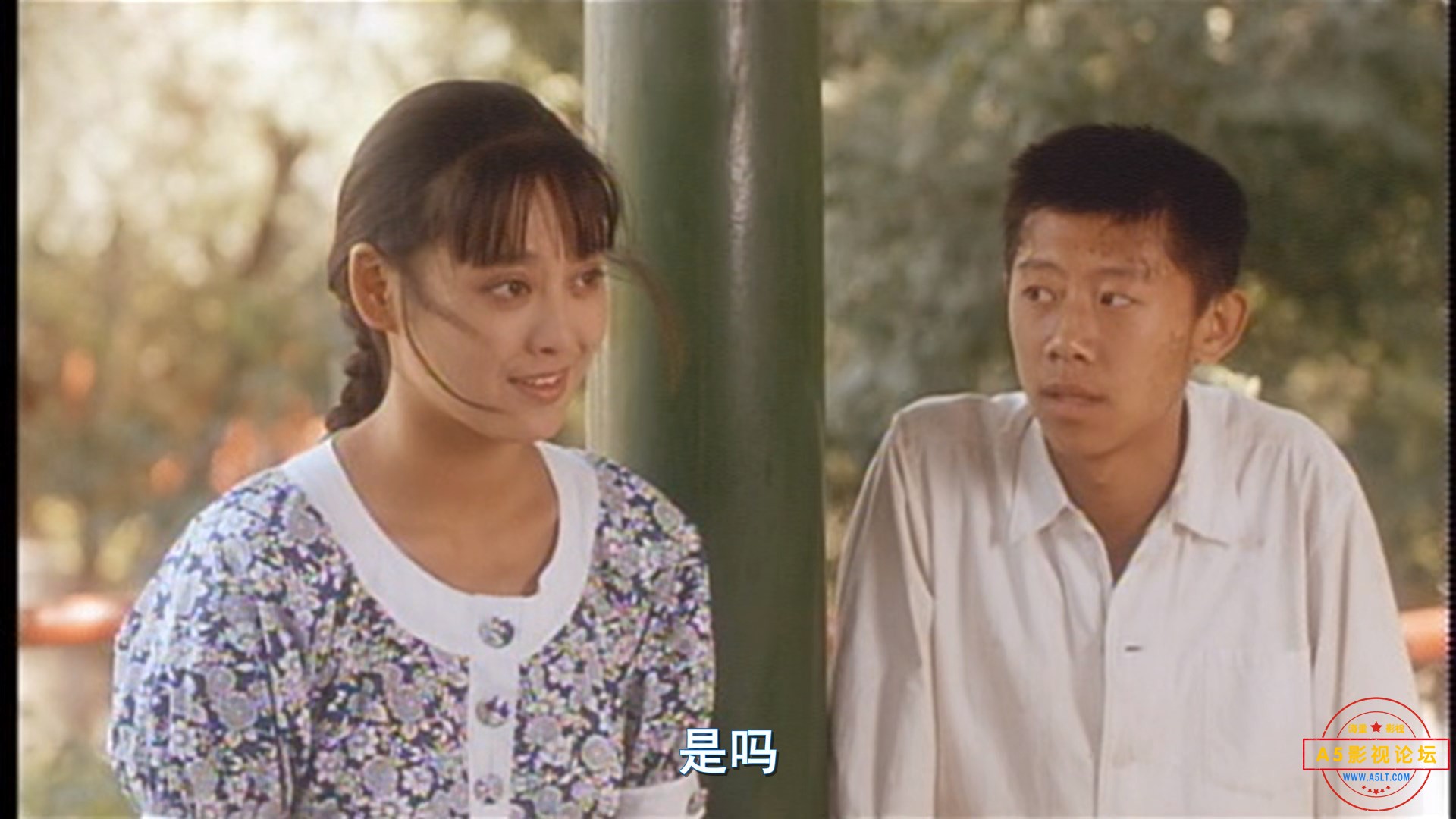 Top070.阳光灿烂的日子. In.the.Heat.of.the.Sun.1994.DVD9.1080p.x265.AAC.GREENOTEA.jpg