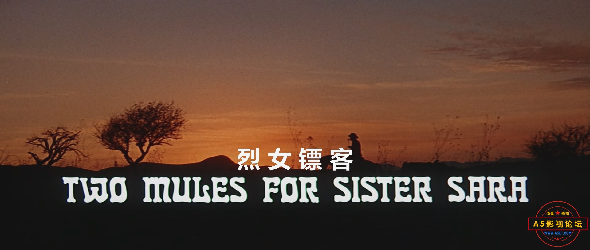 烈女镖客Two.Mules.For.Sister.Sara.1970.1080p.BluRay.x265(英语中字).mkv_snapshot_.jpg
