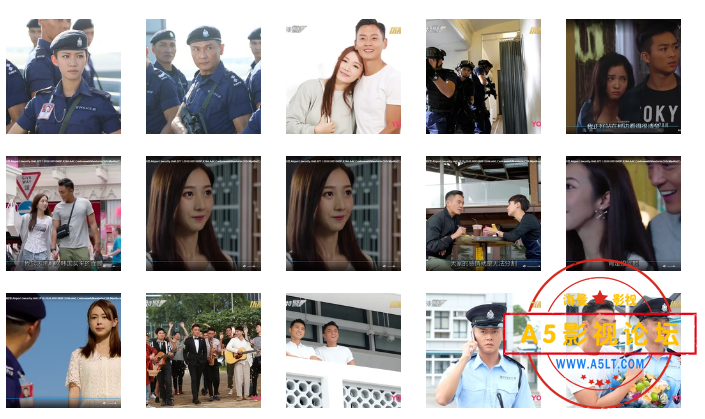 搜狗截图24年11月26日1536_18.png
