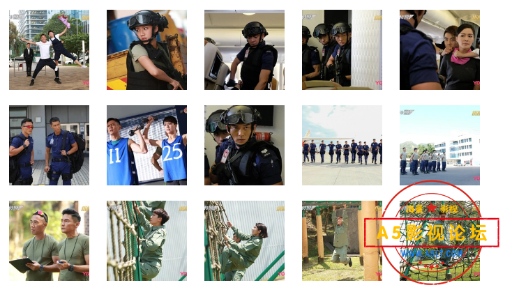 搜狗截图24年11月26日1537_19.png