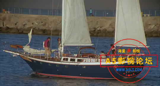 p2619585141.webp.png