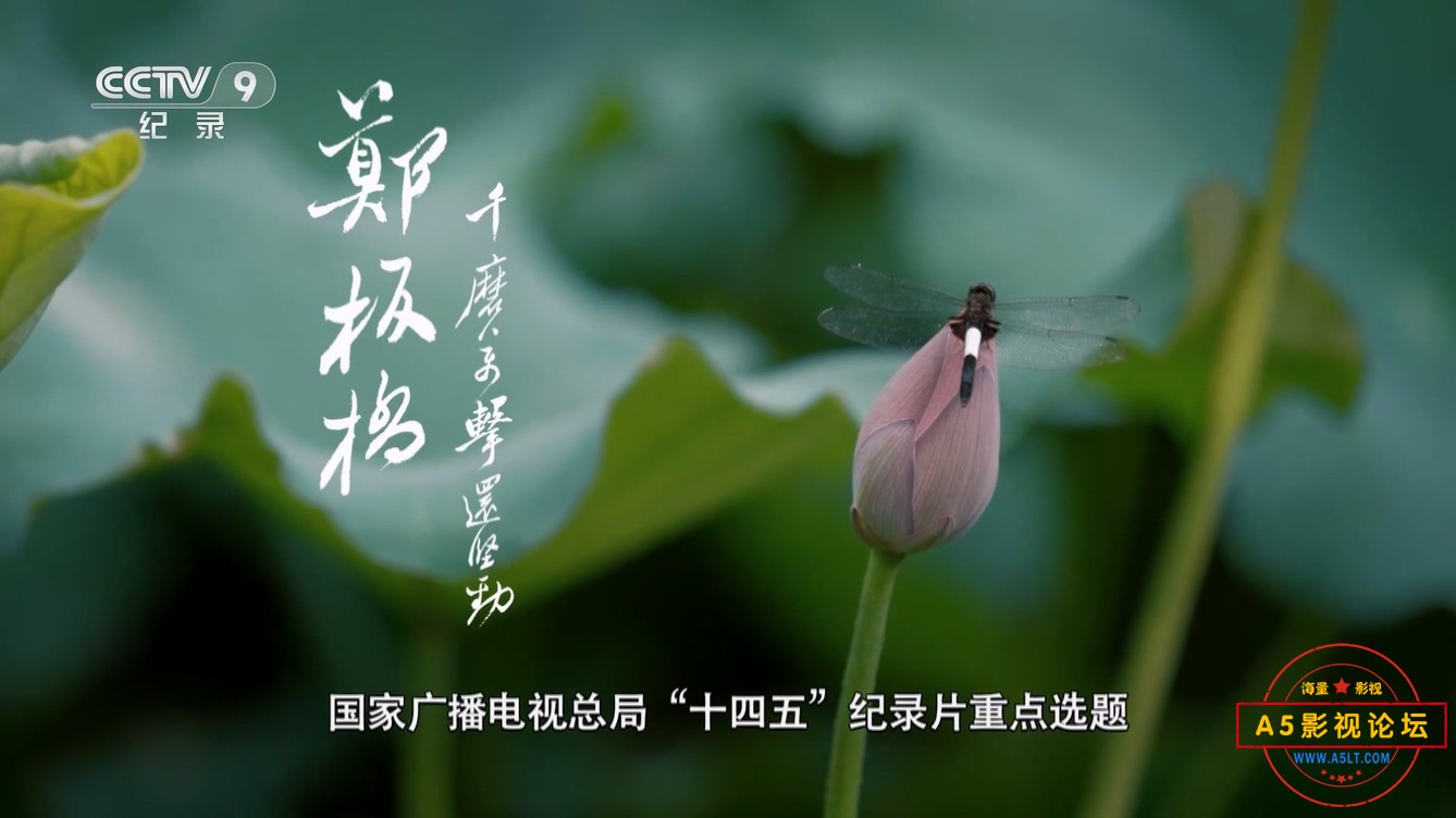 郑板桥01.mp4_20241208_134637.579.jpg