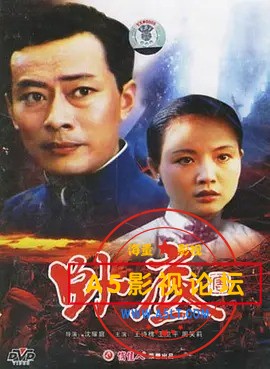 卧底.jpg