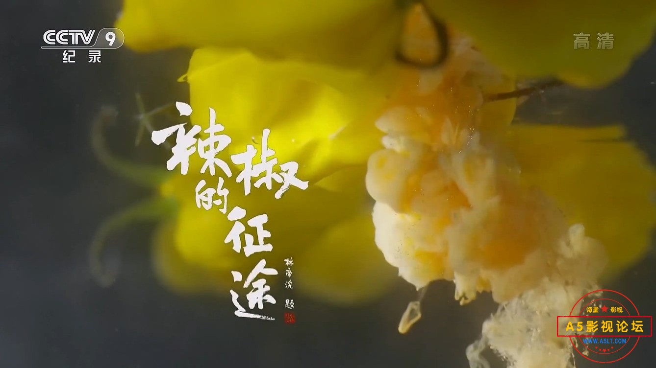 03北粉南酱 辣不一样.mp4_20241212_091745.960.jpg