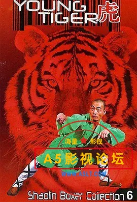 小老虎.jpg
