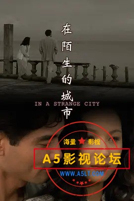 在陌生的城市.jpg