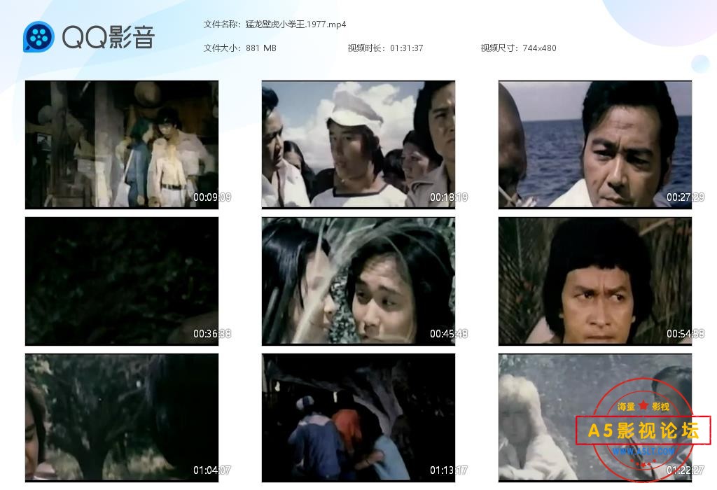 猛龙壁虎小拳王[20241221-162238].jpg