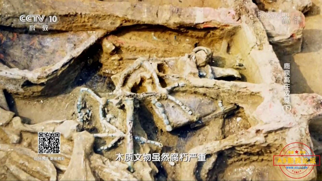 鹿泉高庄汉墓(下).mp4_20241221_182338.479.jpg
