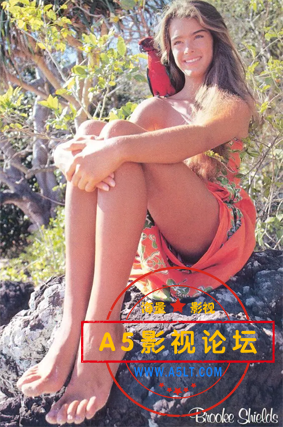 微信图片_20241223122015.png