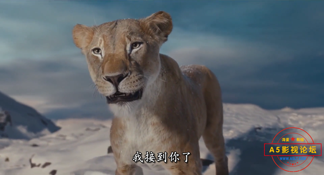 微信图片_20250102164108.png