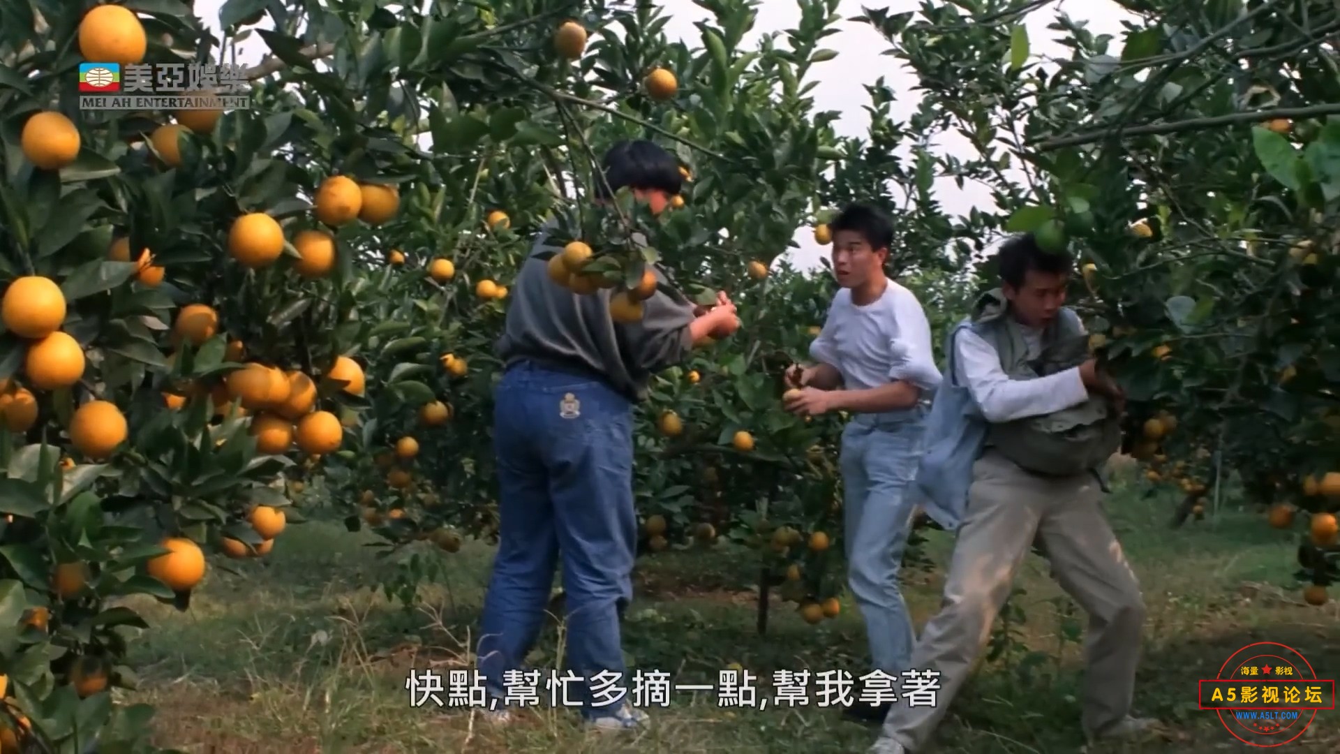 风雨操场1080p.mp4_20250108_214645.995.jpg