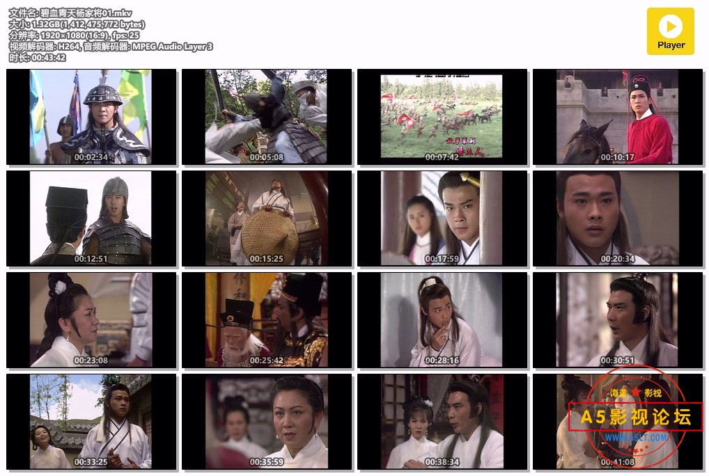 碧血青天杨家将01.mkv.jpg