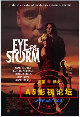 暴风眼-1991.jpg