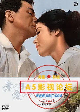 比翼鸟.jpg