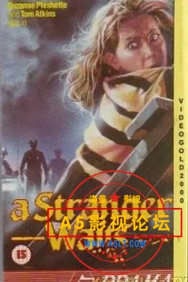 风尘泪.jpg