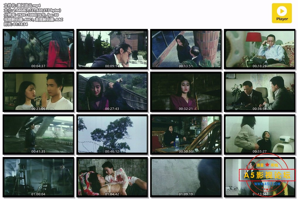 澳门追凶.mp4.jpg