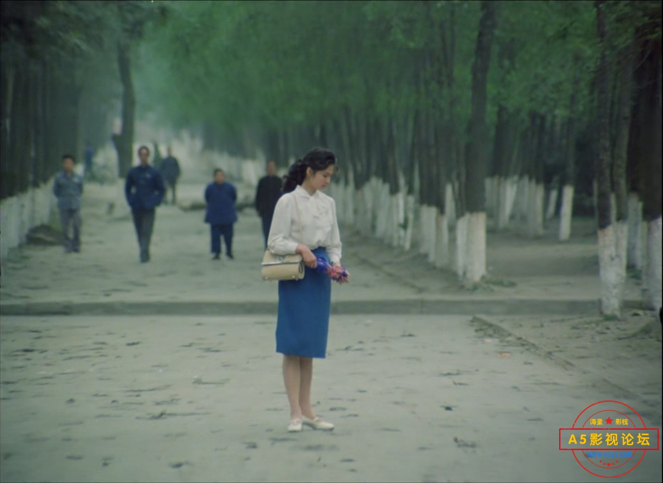 白桦林中的哨所.mkv_20250204_145934.236.jpg