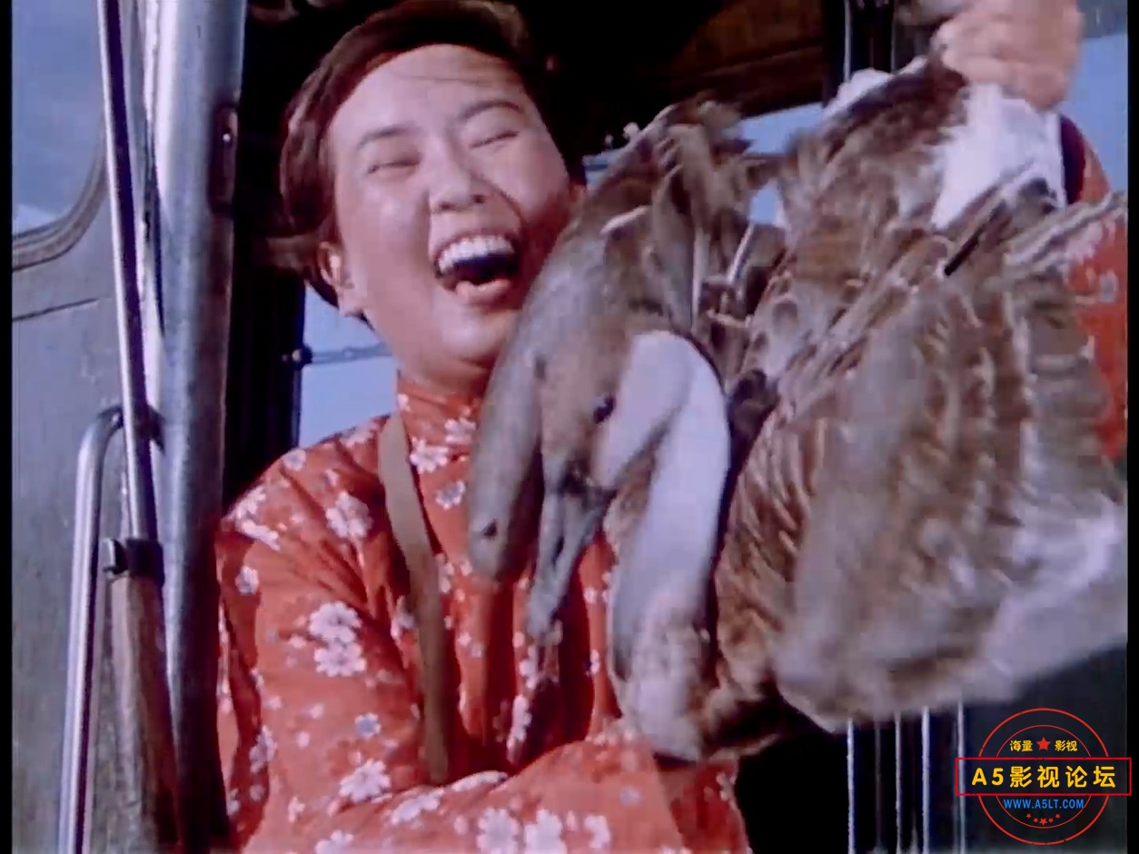 北大荒人.MP4_20250205_130440.916.jpg