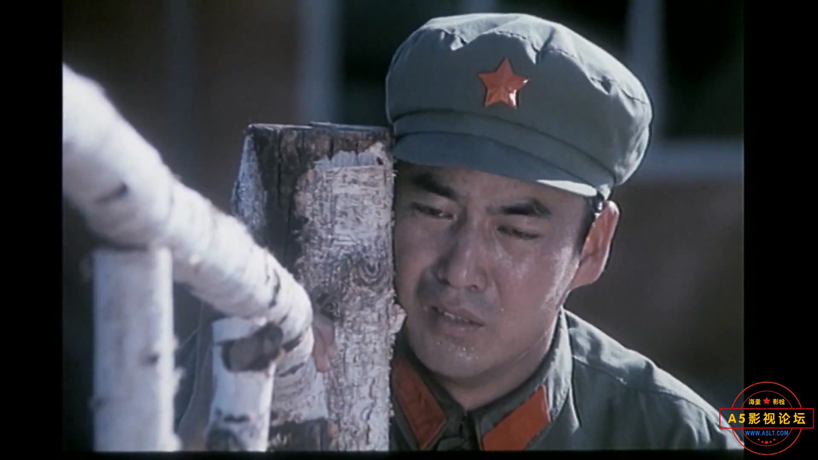 奔向银幕的马.MP4_20250205_141532.155.jpg